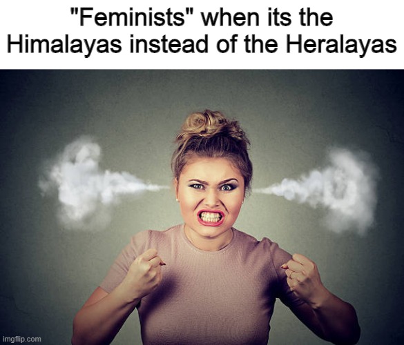 "Feminists" when its the Himalayas instead of the Heralayas | image tagged in memes,feminism,feminist | made w/ Imgflip meme maker