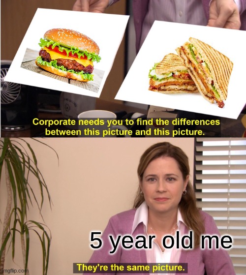 They're The Same Picture Meme | 5 year old me | image tagged in memes,they're the same picture | made w/ Imgflip meme maker