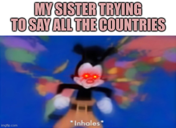 Yakko inhale | MY SISTER TRYING TO SAY ALL THE COUNTRIES | image tagged in yakko inhale | made w/ Imgflip meme maker