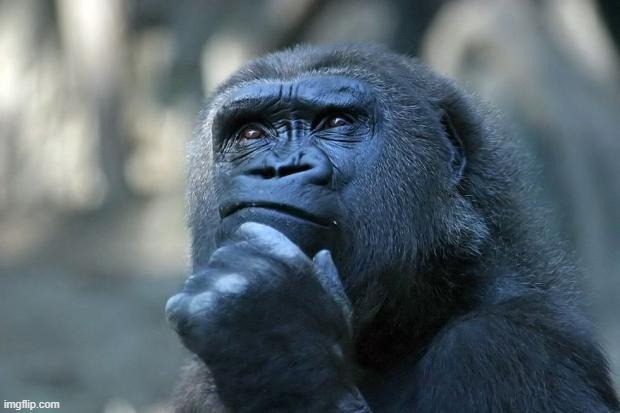Deep Thoughts | image tagged in deep thoughts | made w/ Imgflip meme maker
