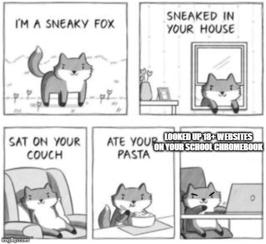 Sneaky fox | LOOKED UP 18+ WEBSITES ON YOUR SCHOOL CHROMEBOOK | image tagged in sneaky fox | made w/ Imgflip meme maker