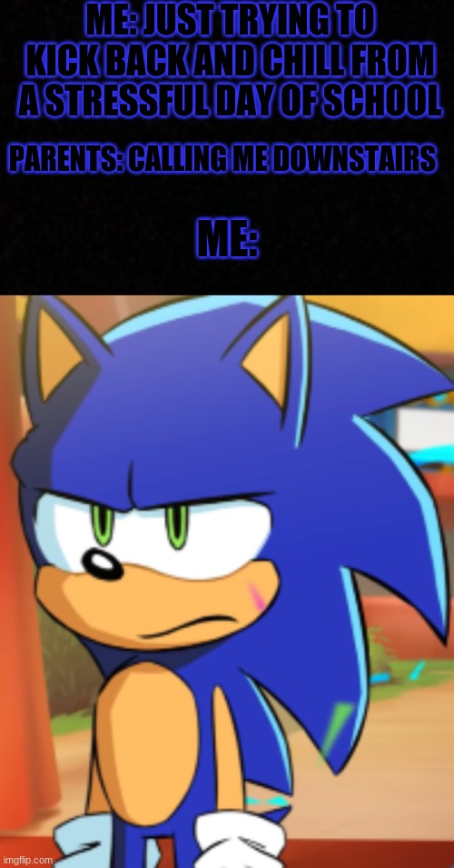 Why do parents do that??? | ME: JUST TRYING TO KICK BACK AND CHILL FROM A STRESSFUL DAY OF SCHOOL; PARENTS: CALLING ME DOWNSTAIRS; ME: | image tagged in sonic bruh seriously,bruh moment,parents | made w/ Imgflip meme maker