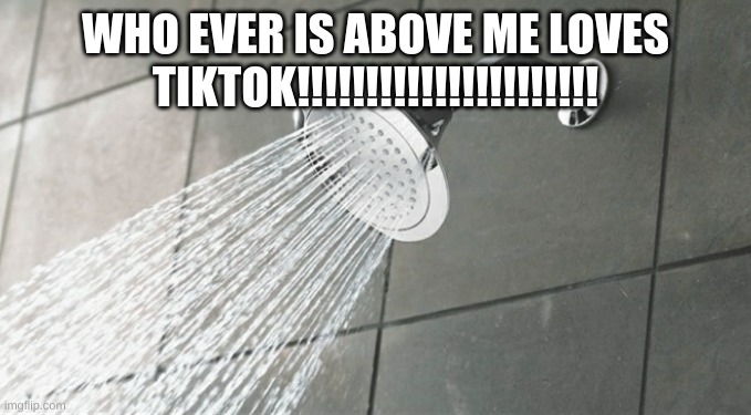I mean, you're not wrong | WHO EVER IS ABOVE ME LOVES TIKTOK!!!!!!!!!!!!!!!!!!!!!! | image tagged in i mean you're not wrong | made w/ Imgflip meme maker