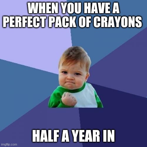 crayonz | WHEN YOU HAVE A PERFECT PACK OF CRAYONS; HALF A YEAR IN | image tagged in memes,success kid | made w/ Imgflip meme maker