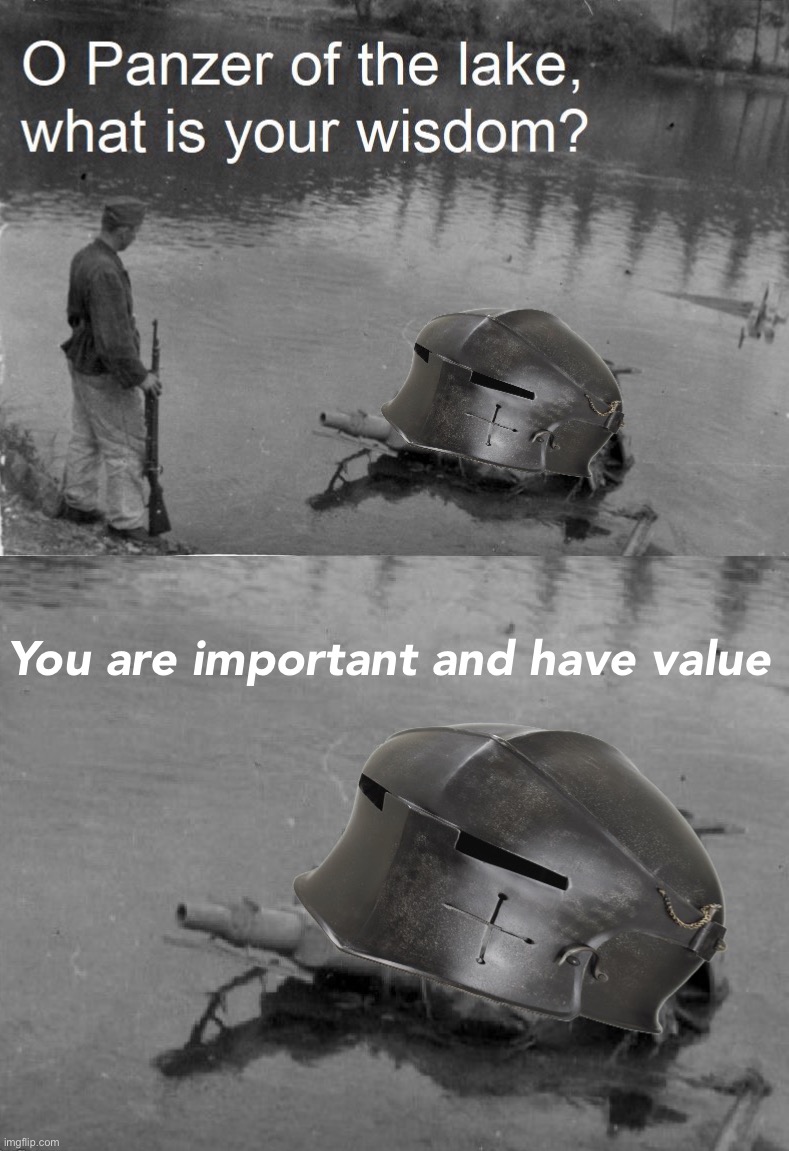 Crusader Panzer of the Lake | You are important and have value | image tagged in crusader panzer of the lake,crusader,panzer of the lake,o panzer of the lake,you are important and have value,inspirational | made w/ Imgflip meme maker
