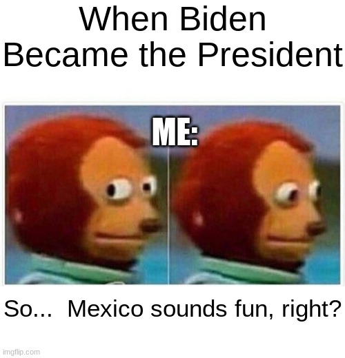 Eddfred | When Biden Became the President; ME:; So...  Mexico sounds fun, right? | image tagged in memes,monkey puppet | made w/ Imgflip meme maker