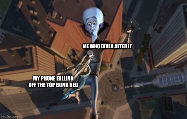 ME WHO DIVED AFTER IT; MY PHONE FALLING OFF THE TOP BUNK BED | image tagged in megamind | made w/ Imgflip meme maker