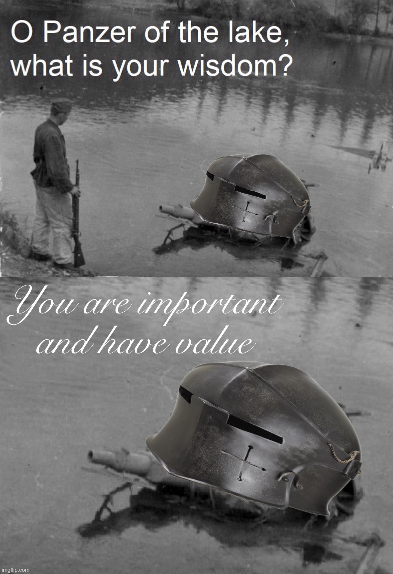 Crusader Panzer of the Lake |  You are important and have value | image tagged in crusader panzer of the lake,you are important and have value,panzer of the lake,o panzer of the lake,crusader,helmet | made w/ Imgflip meme maker