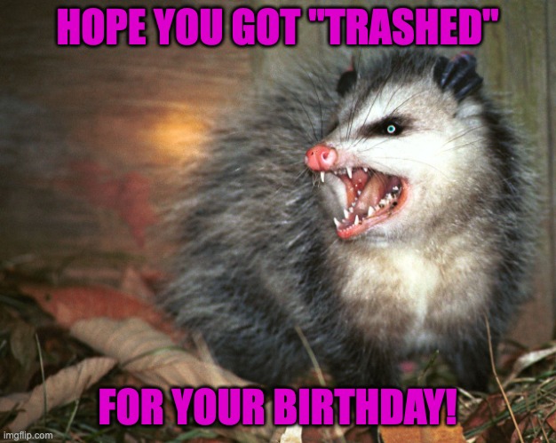 Birthday Possom | HOPE YOU GOT "TRASHED"; FOR YOUR BIRTHDAY! | image tagged in possom 2 | made w/ Imgflip meme maker