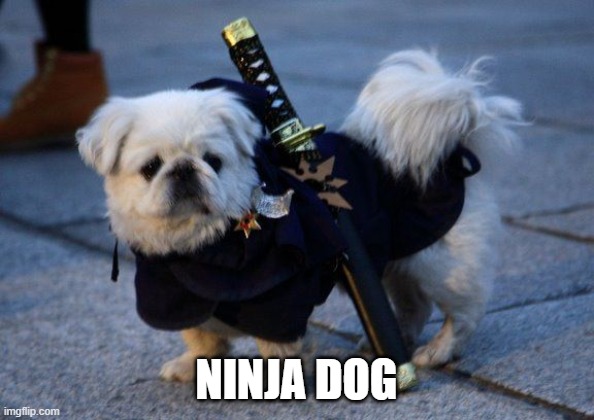 NINJA DOG | made w/ Imgflip meme maker