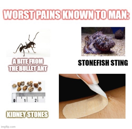 Ouch. :( | image tagged in worst pains known to man | made w/ Imgflip meme maker