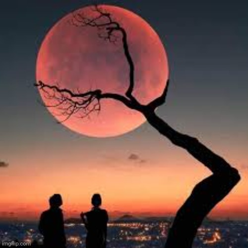 Tree touches the red moon | image tagged in moon | made w/ Imgflip meme maker