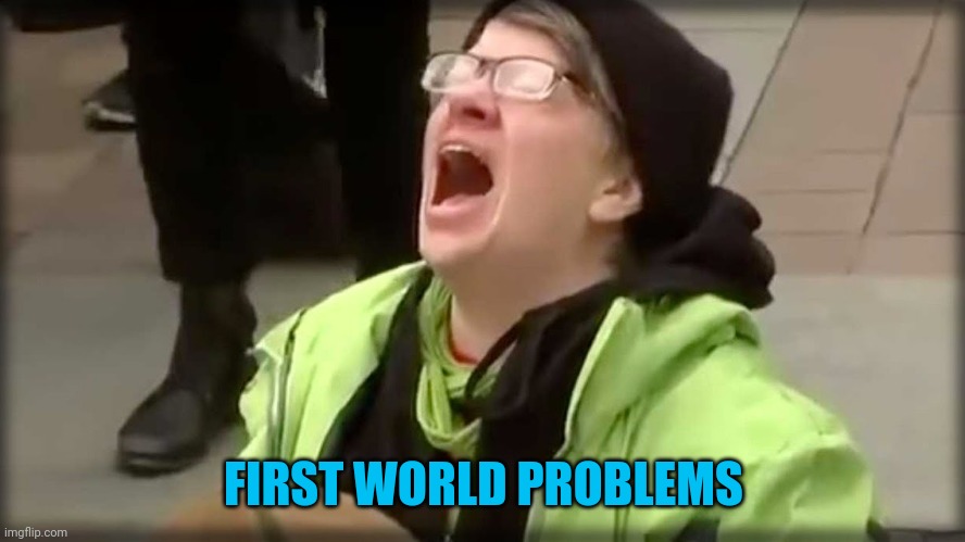 Trump SJW No | FIRST WORLD PROBLEMS | image tagged in trump sjw no | made w/ Imgflip meme maker