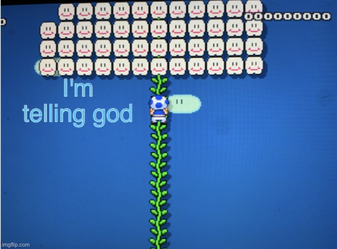 Toad tells god | image tagged in toad tells god | made w/ Imgflip meme maker