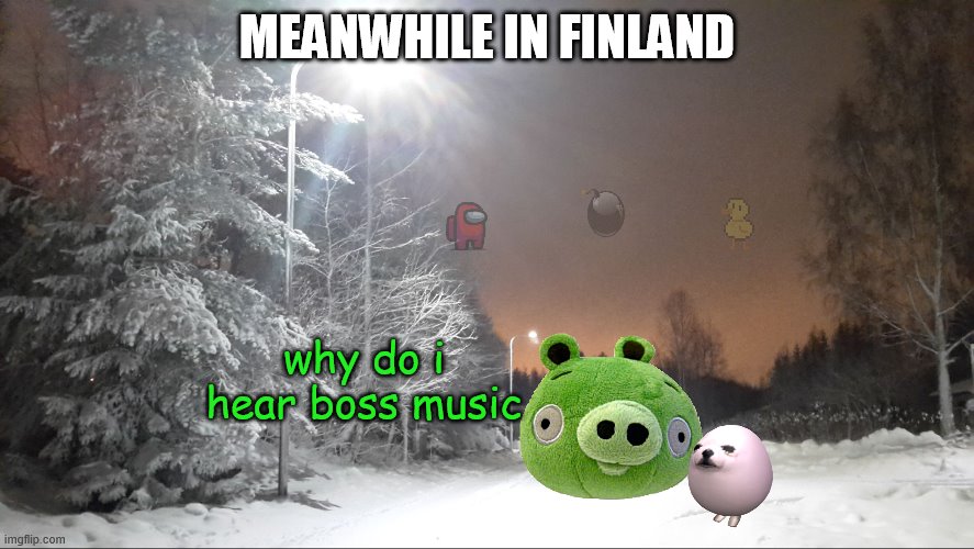 Finland | MEANWHILE IN FINLAND why do i hear boss music | image tagged in finland | made w/ Imgflip meme maker