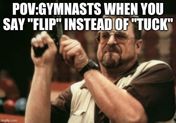 Am I The Only One Around Here Meme | POV:GYMNASTS WHEN YOU SAY "FLIP" INSTEAD OF "TUCK" | image tagged in memes,am i the only one around here | made w/ Imgflip meme maker