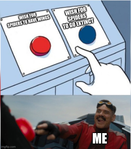 Robotnik Pressing Red Button | WISH FOR SPIDERS TO GO EXTINCT; WISH FOR SPIDERS TO HAVE WINGS; ME | image tagged in robotnik pressing red button | made w/ Imgflip meme maker