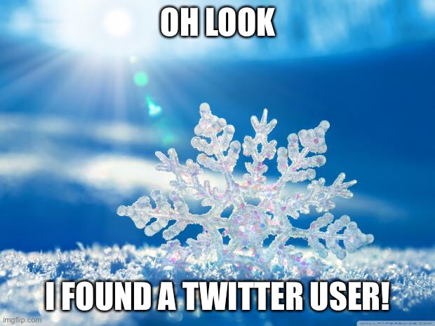 true | OH LOOK; I FOUND A TWITTER USER! | image tagged in snowflake,twitter | made w/ Imgflip meme maker