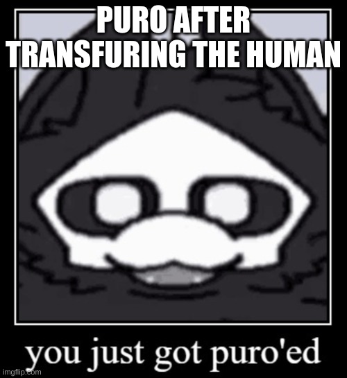 puro'ed | PURO AFTER TRANSFURING THE HUMAN | image tagged in puro'ed,puro | made w/ Imgflip meme maker