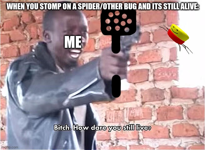 DIE! DIE! DIE! NO! YOUR NOT ALLOWED TO SEE YOUR KIDS! JUST DIE! | WHEN YOU STOMP ON A SPIDER/OTHER BUG AND ITS STILL ALIVE:; ME | image tagged in bitch how dare you still live | made w/ Imgflip meme maker