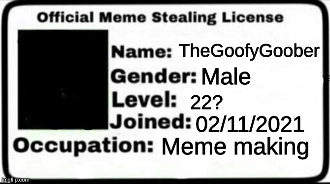Meme Stealing License | TheGoofyGoober; Male; 22? 02/11/2021; Meme making | image tagged in memes,funny,fun,funny memes,imgflip | made w/ Imgflip meme maker