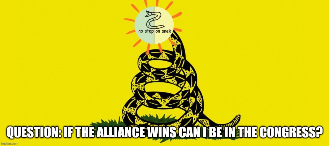 Its a promise that nerd party made so will the alliance except it? | QUESTION: IF THE ALLIANCE WINS CAN I BE IN THE CONGRESS? | image tagged in libertarian alliance flag | made w/ Imgflip meme maker