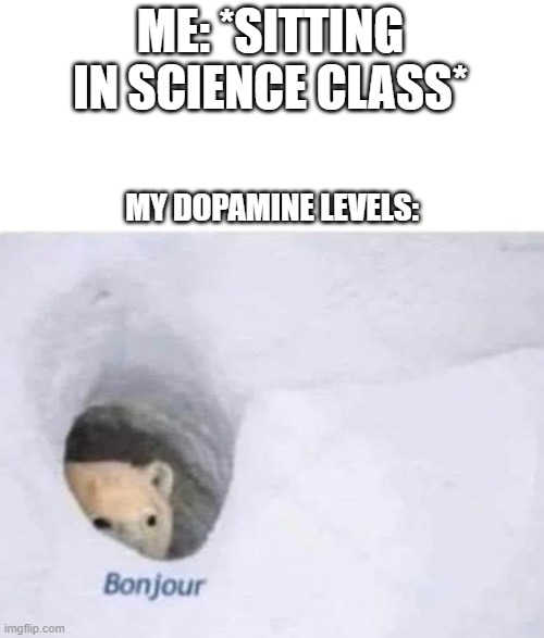 Bonjour | ME: *SITTING IN SCIENCE CLASS* MY DOPAMINE LEVELS: | image tagged in bonjour | made w/ Imgflip meme maker