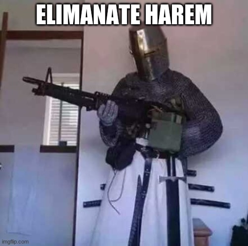 Crusader knight with M60 Machine Gun | ELIMANATE HAREM | image tagged in crusader knight with m60 machine gun | made w/ Imgflip meme maker