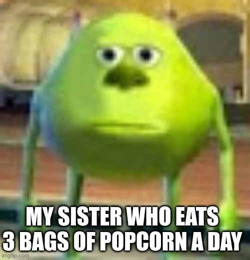 Sully Wazowski | MY SISTER WHO EATS 3 BAGS OF POPCORN A DAY | image tagged in sully wazowski | made w/ Imgflip meme maker