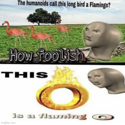 Ō | made w/ Imgflip meme maker