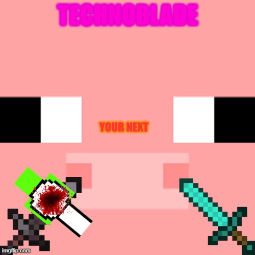 TECHNOBLADE; YOUR NEXT | image tagged in memes | made w/ Imgflip meme maker