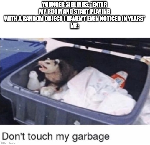 ae | YOUNGER SIBLINGS: *ENTER MY ROOM AND START PLAYING WITH A RANDOM OBJECT I HAVEN'T EVEN NOTICED IN YEARS*
ME: | made w/ Imgflip meme maker
