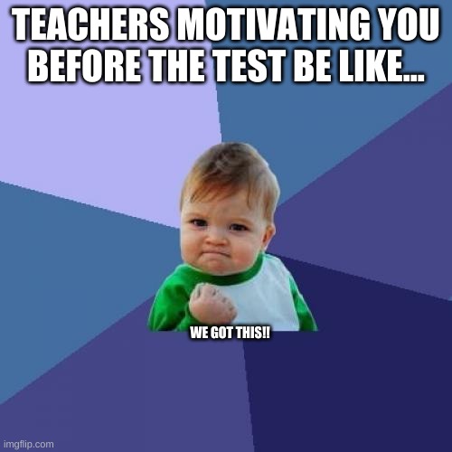 Success Kid | TEACHERS MOTIVATING YOU BEFORE THE TEST BE LIKE... WE GOT THIS!! | image tagged in memes,success kid | made w/ Imgflip meme maker