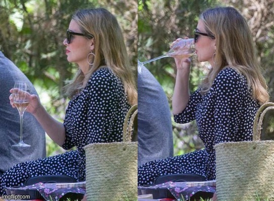 Dannii picnic X2 | image tagged in dannii picnic x2 | made w/ Imgflip meme maker