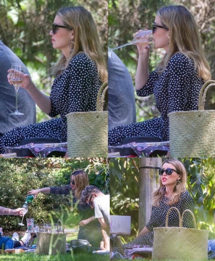Dannii picnic x4 | image tagged in dannii picnic x4 | made w/ Imgflip meme maker