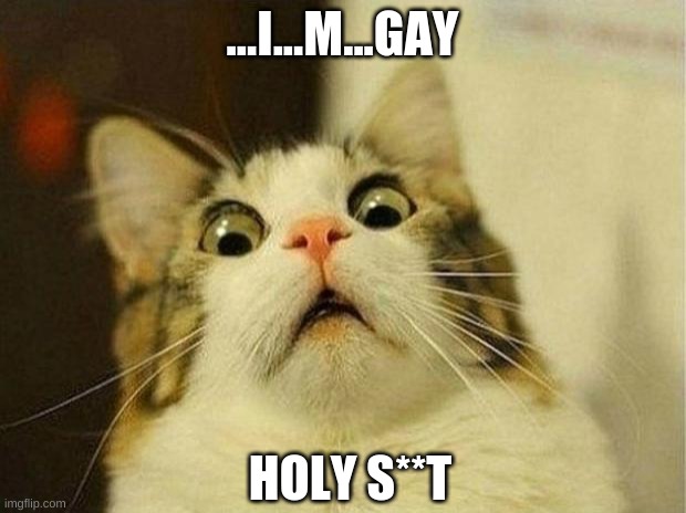 Scared Cat | ...I...M...GAY; HOLY S**T | image tagged in memes,scared cat | made w/ Imgflip meme maker