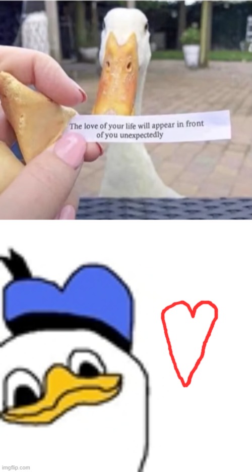 love at first sight | image tagged in dolan duck,memes | made w/ Imgflip meme maker