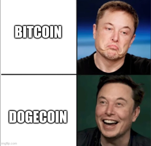 ELON APPROVES!!! | BITCOIN; DOGECOIN | image tagged in memes,funny,dogecoin,cryptocurrency | made w/ Imgflip meme maker