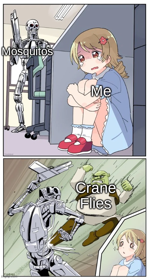 we also call them skeeter eaters | Mosquitos; Me; Crane Flies | made w/ Imgflip meme maker
