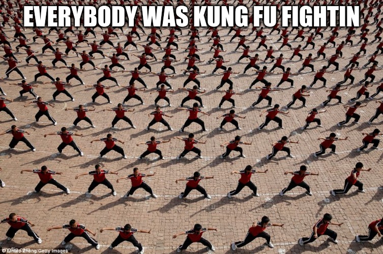 Everybody was kung fu fighting | EVERYBODY WAS KUNG FU FIGHTIN | image tagged in everybody was kung fu fighting | made w/ Imgflip meme maker
