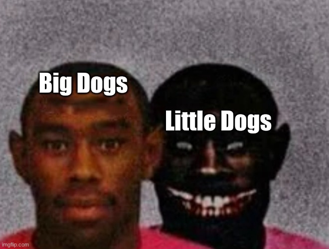 true | Big Dogs; Little Dogs | image tagged in good tyler and bad tyler | made w/ Imgflip meme maker