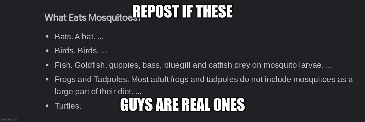 ayy yo, even goldfish a real one | REPOST IF THESE; GUYS ARE REAL ONES | made w/ Imgflip meme maker