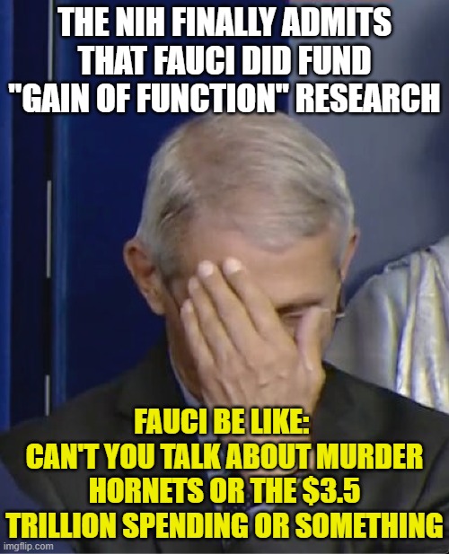 Dr Fauci | THE NIH FINALLY ADMITS THAT FAUCI DID FUND "GAIN OF FUNCTION" RESEARCH; FAUCI BE LIKE: 
CAN'T YOU TALK ABOUT MURDER HORNETS OR THE $3.5 TRILLION SPENDING OR SOMETHING | image tagged in dr fauci | made w/ Imgflip meme maker