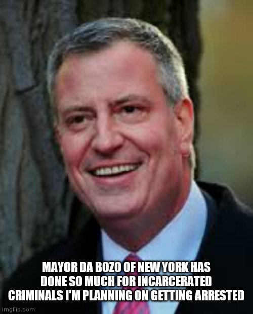 Bill De Blasio | MAYOR DA BOZO OF NEW YORK HAS DONE SO MUCH FOR INCARCERATED CRIMINALS I'M PLANNING ON GETTING ARRESTED | image tagged in bill de blasio | made w/ Imgflip meme maker