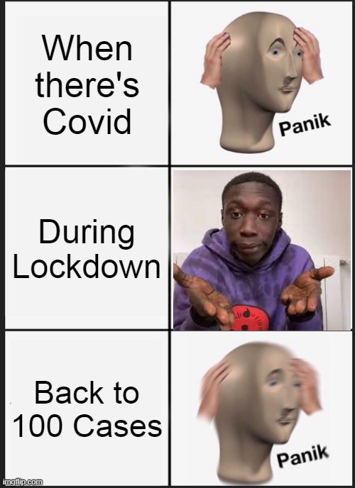 he Covid Cycle | When there's Covid; During Lockdown; Back to 100 Cases | image tagged in memes,panik kalm panik | made w/ Imgflip meme maker