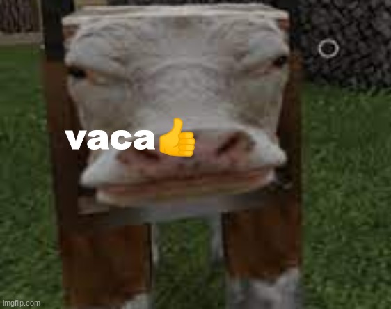 vaca | image tagged in vaca | made w/ Imgflip meme maker