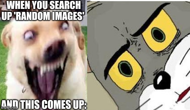 WHEN YOU SEARCH UP 'RANDOM IMAGES'; AND THIS COMES UP: | image tagged in unsettled tom,doge | made w/ Imgflip meme maker