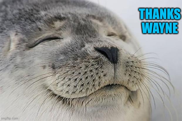 Satisfied Seal Meme | THANKS WAYNE | image tagged in memes,satisfied seal | made w/ Imgflip meme maker