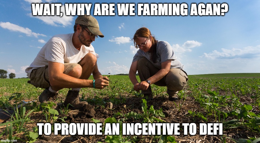 Farming Currency | WAIT, WHY ARE WE FARMING AGAN? TO PROVIDE AN INCENTIVE TO DEFI | image tagged in crypto | made w/ Imgflip meme maker