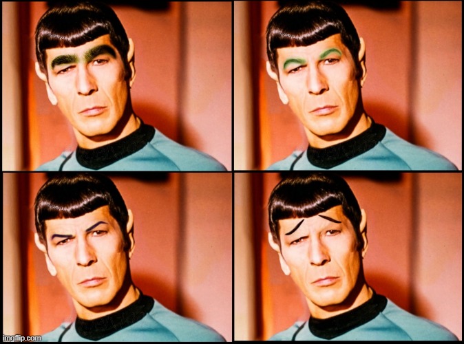 image tagged in spock,star trek,mr spock,eyebrows,star trek spock,manscaping | made w/ Imgflip meme maker